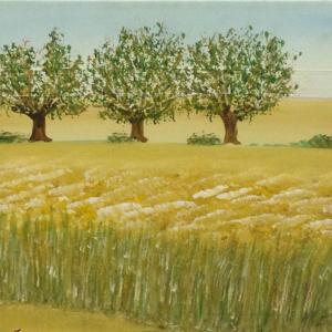 Il sorriso di Roberta per l'UNICEF - Progetto "100% Vacciniamoli tutti" Il sorriso di Roberta per l'UNICEF - Progetto "100% Vacciniamoli tutti"