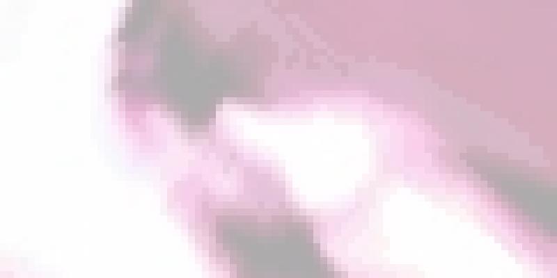 Veni-kreator Veni-kreator