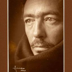 D.N.A.Copyright ©® D.N.A.Copyright ©®