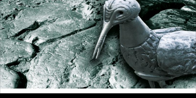 IconAzione IconAzione