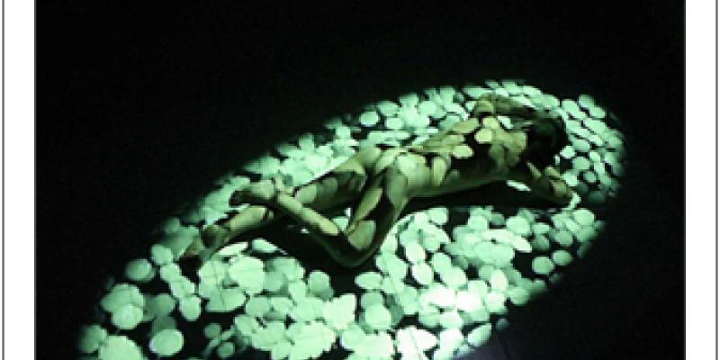 TRIBE ART#66 - NOVEMBRE 2009 È ON LINE! TRIBE ART#66 - NOVEMBRE 2009 È ON LINE!