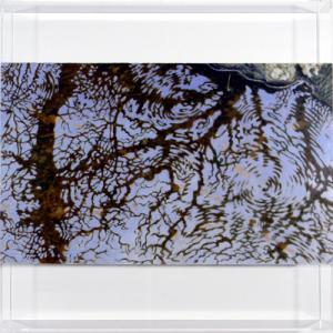 MR. NATURAL: personale di Max Mazzoli MR. NATURAL: personale di Max Mazzoli