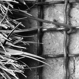 IL VIAGGIO IL VIAGGIO