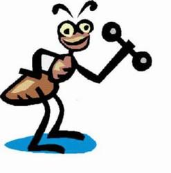 una web tv di approfondimento dedicata alla cultura contemporanea una web tv di approfondimento dedicata alla cultura contemporanea