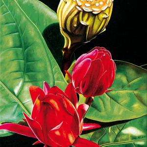 Tommaso Andreocci  - "Paintings, sculpures, drawings"