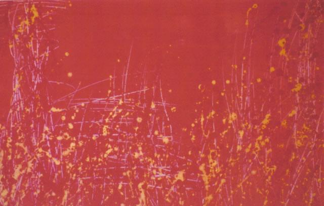 Cornfield Series: Sunset 1