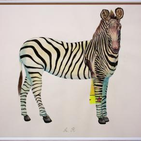 Febbraio a Boccaleone (zebra)