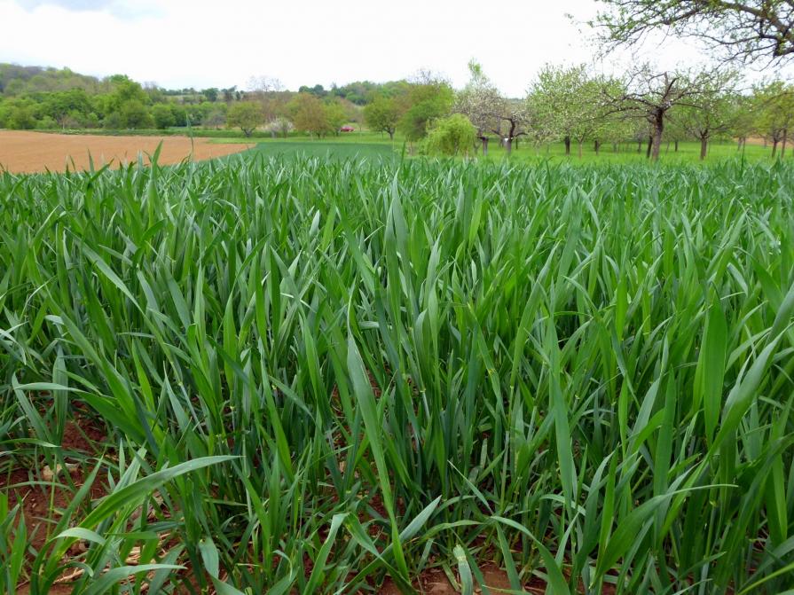 De la place pour tous...