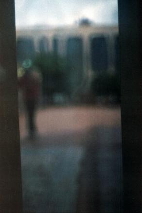 Man, Animal, Land II