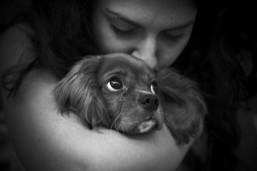 lágrimas de felicidade