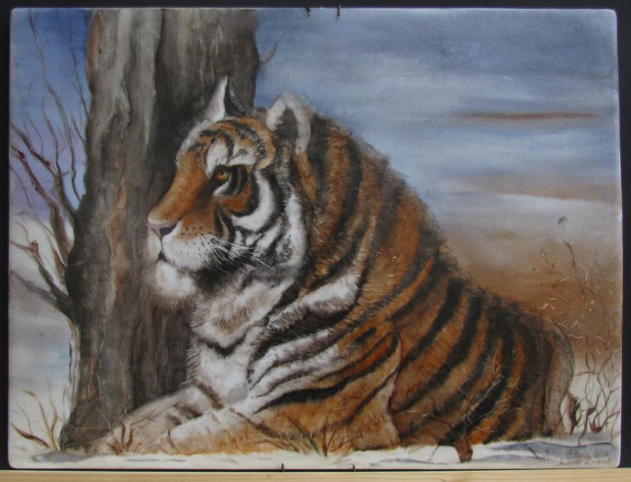 fuoco sulla neve fuoco sulla neve