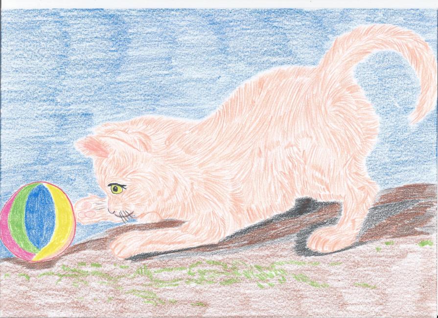 Il gattino che gioca con la pallina