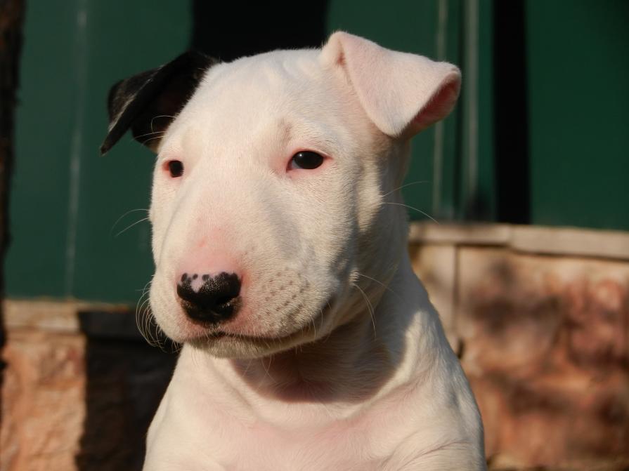 Too serious for her age