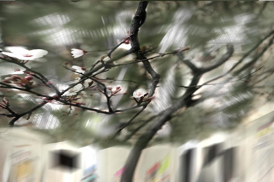 l'albero fuori dal negozio dice.....spring time..