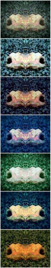 Hands Polychromatic n.3