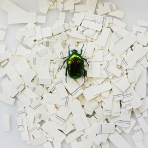 Classificazione poetica