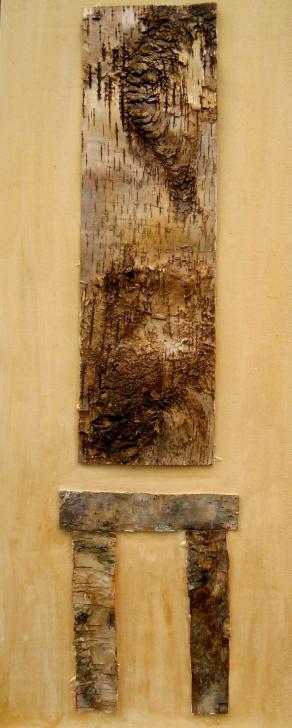 L'ALBERO RACCONTA  "SINTESI"