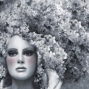 La neve è una sposa