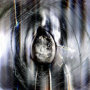 dal unione del pesce del mio acquario e la patata impazzita,nasce un nuovo universo.