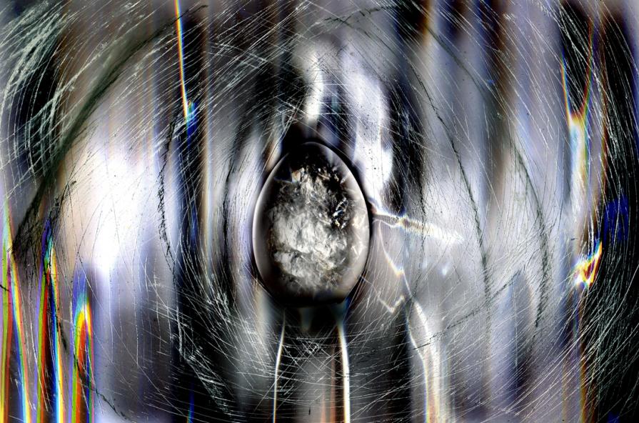 dal unione del pesce del mio acquario e la patata impazzita,nasce un nuovo universo.