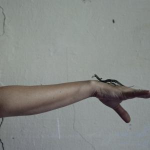 The last summer / III. La guerre 