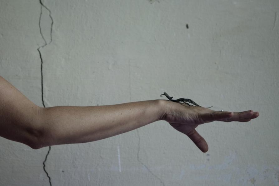 The last summer / III. La guerre 