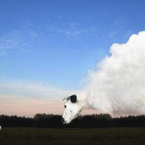 On Earth as It Is in Heaven