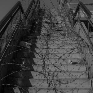 Senza titolo dalla serie 