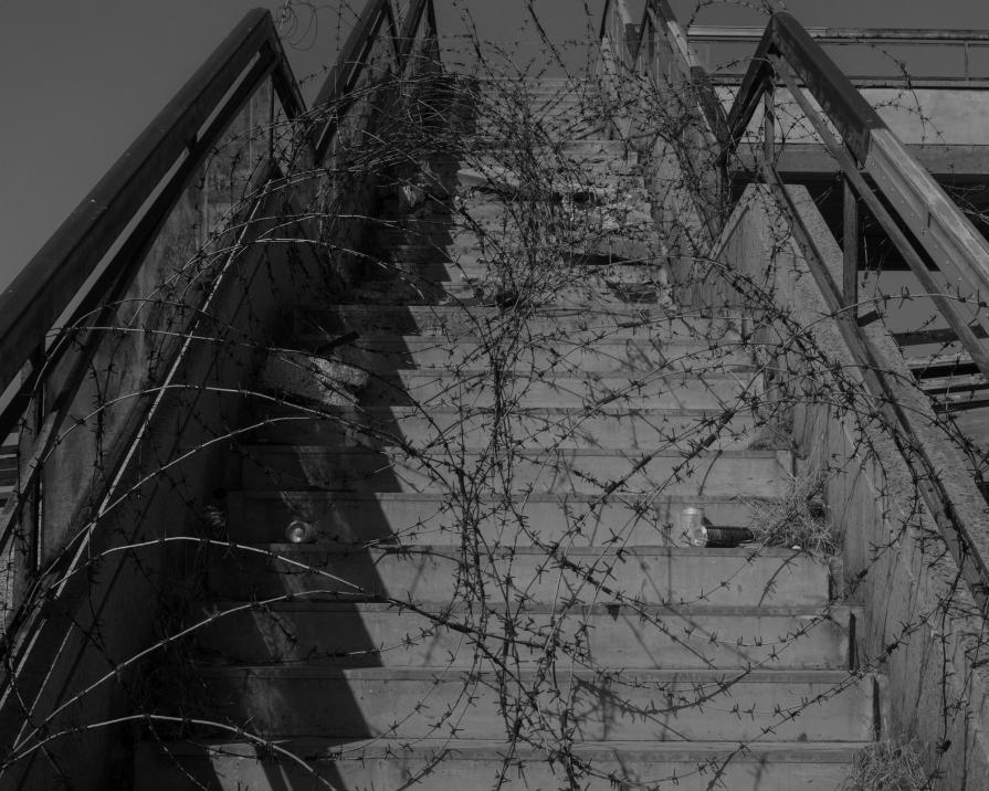 Senza titolo dalla serie 