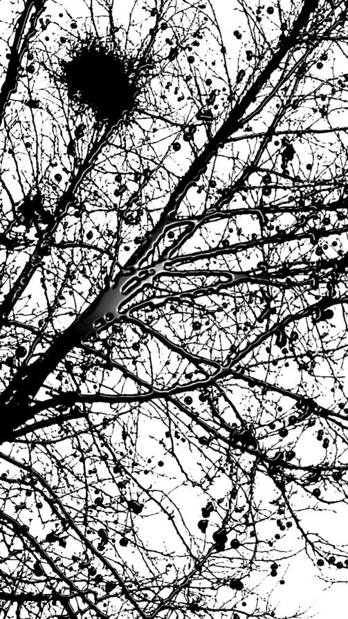 Conflitti in terra, cicatrici in cielo Conflitti in terra, cicatrici in cielo