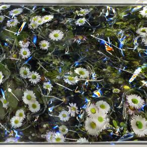 strappo di primavera.