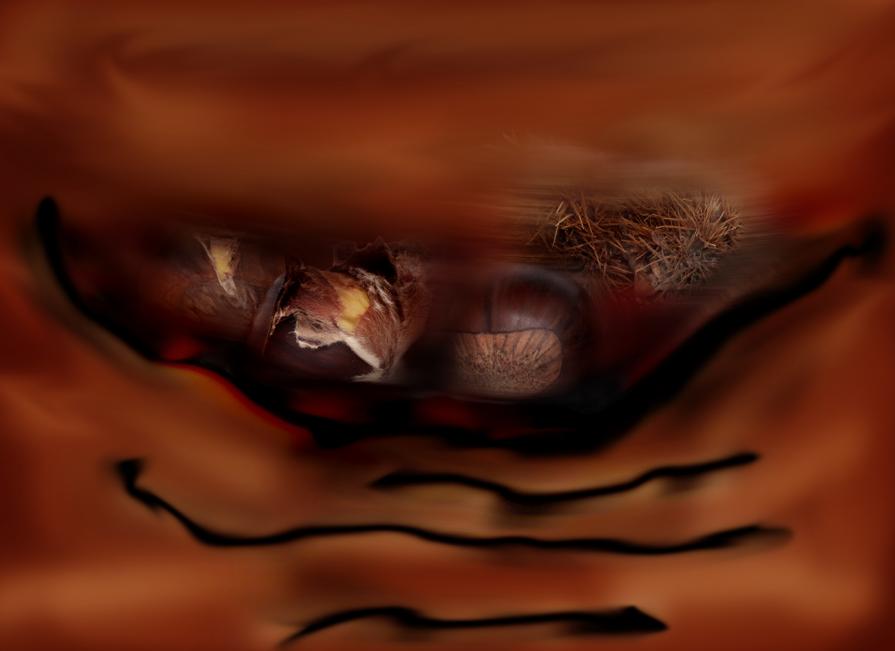 a eccole le castagne nello spazio marrone