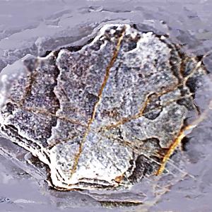 Utopia contemporanea11