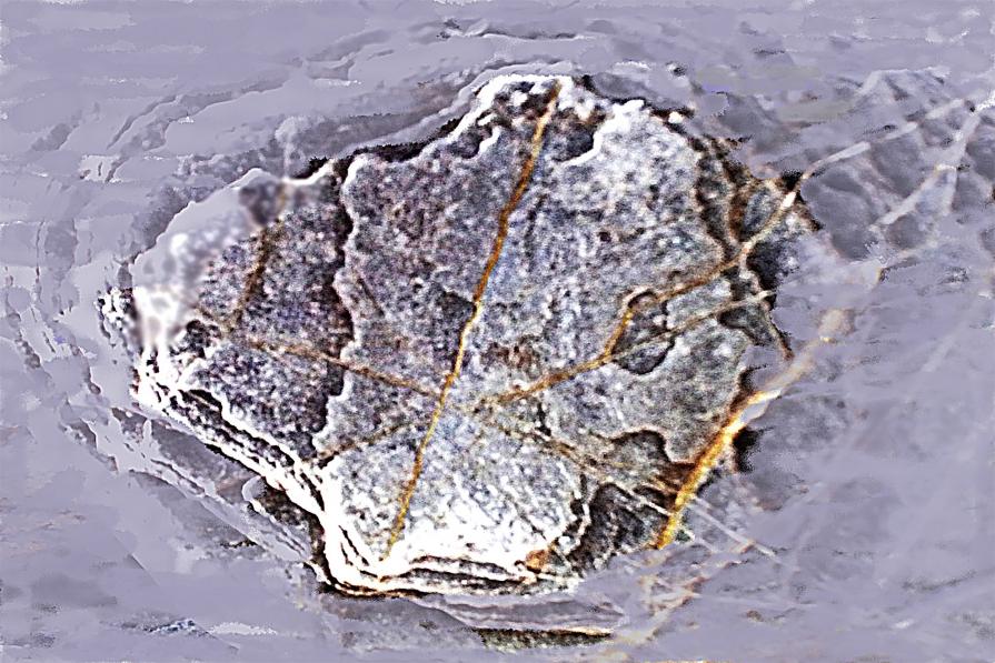 Utopia contemporanea11