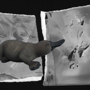 Habitat_project_backstage 18