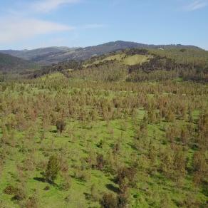 Air_ricordati di respirare