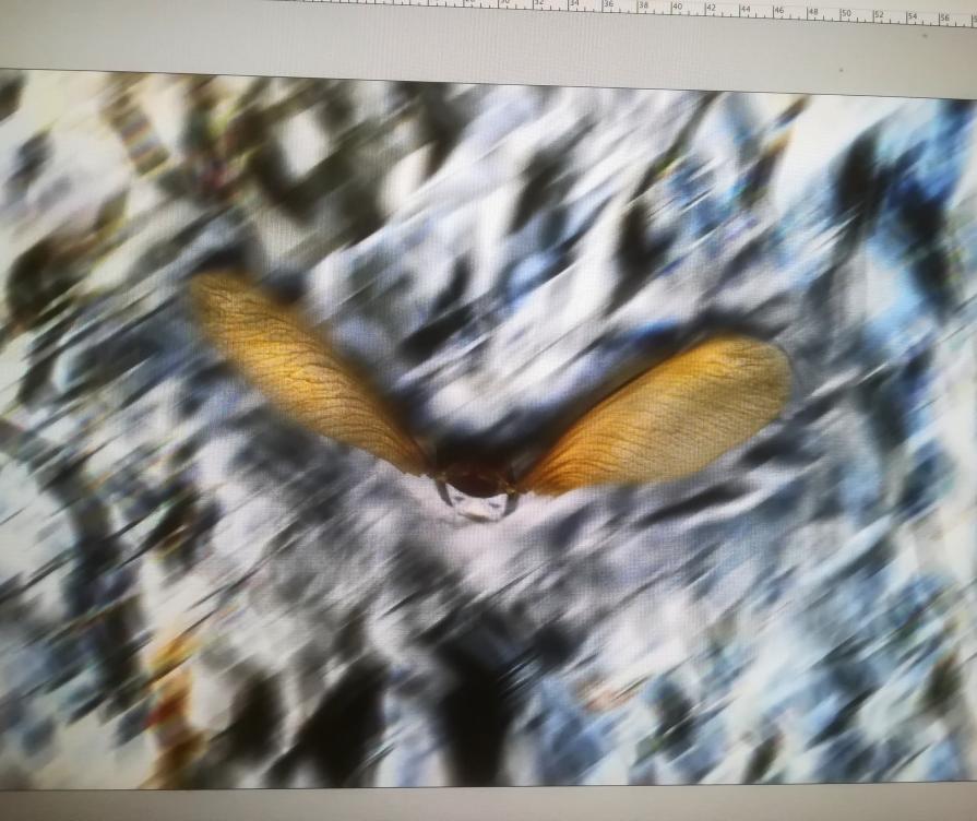 Volare a alta quota è possibile. 