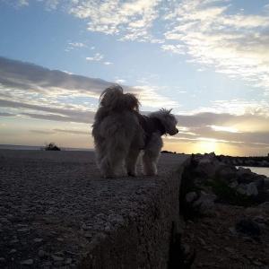 Dalla Terra alla Luna, Giovanni Romano