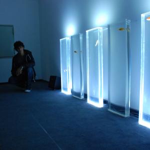 Awards and final exhibition Celeste Prize 2009 Awards and final exhibition Celeste Prize 2009