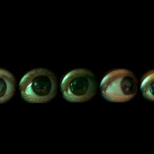 Open Atelier: HUNGARY and other events