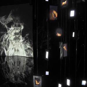 Beyond the Daily Life