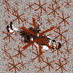 Paola Turci e Maria Antonietta Scarpari al Castello di San Martino