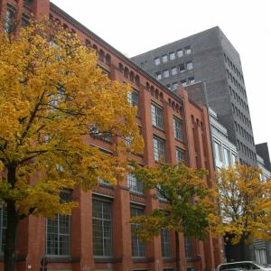 Awards and final exhibition Celeste Prize 2009 Awards and final exhibition Celeste Prize 2009