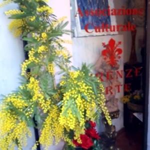 III collettiva festa della donna