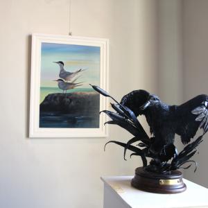 Altra Natura a Revere (mn)