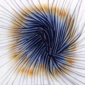 Artavita artist contest Artavita artist contest