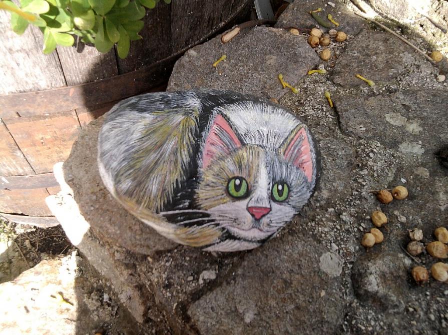 " Napoleone ", Gatto mattacchione.