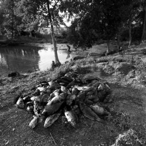 Rural life in the Czech Republic
