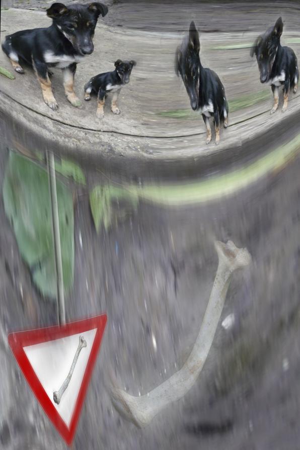 di chi èèèèèè????????