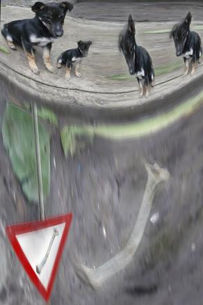 di chi èèèèèè????????